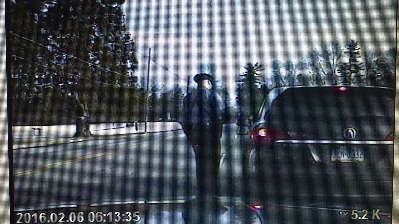 Princeton University Professor Imani Perry's Police Stop, Clip One