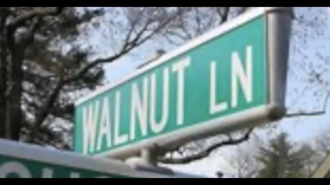 Middle School Name Candidate:  Walnut Lane