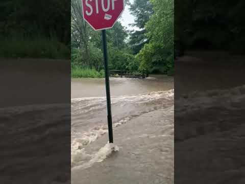 Corner of Terhune and Randall roads after Thursday storm. Video by Chris Milkosky.