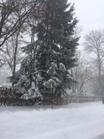 Princeton area closures and cancellations for Wednesday, March 21