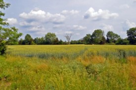 More than 60 Acres Added to Sourland Mountain Preserve
