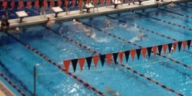 Princeton University Men’s Swimming and Diving Team Suspended for Racist, Sexist, Offensive Emails