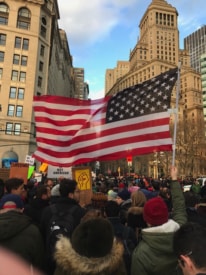 Princeton Wire: 1.31.17