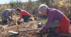 In the Sourlands: Make a Stewardship Resolution for 2017