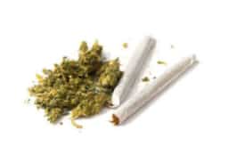 Save the Date: Princeton Alcohol and Drug Alliance to host forum about marijuana next month
