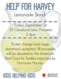 Kids will raise money for victims of Hurricane Harvey with lemonade stand
