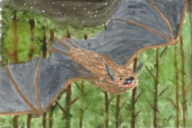 Endangered species fifth grade art contest winners on display at D&R Greenway