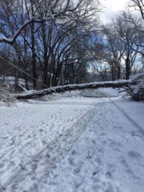Some Princeton residents frustrated about lingering power outages