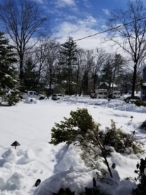 Storm Update: Almost 1,500 Princeton households still without power