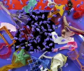 Susan Hockaday Monkshood flowers