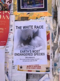 White nationalist posters spotted in downtown Princeton