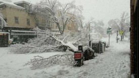 Road closures, power outages across Mercer County as snow piles up (Updated 8 p.m.)