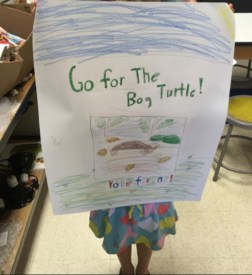 Governor will sign bill Monday recognizing bog turtle as NJ’s official reptile