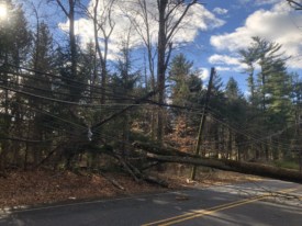 Rosedale Road at Preservation Place due to downed tree and wires