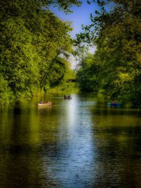 Photo of the Day: Paddling along by Kristine Alane