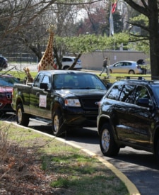 Photos: Littlebrook Elementary School teacher car parade