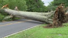 Storm brings down trees and wires, closes some Princeton area roads