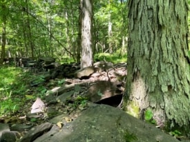 58 acres added to D&R Greenway’s Plum Brook Preserve near Stockton
