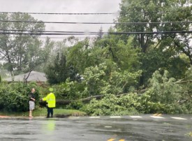 tropical storm damage in Princeton