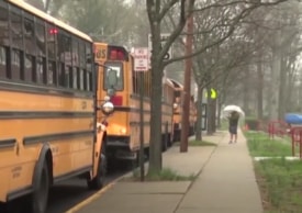 School buses