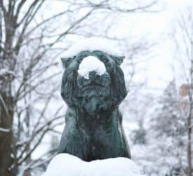 Photos of the day: Princeton during the Sunday storm