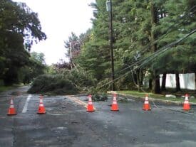 More than 1,200 households in Princeton region without power, some roads still closed (updated Sunday afternoon)