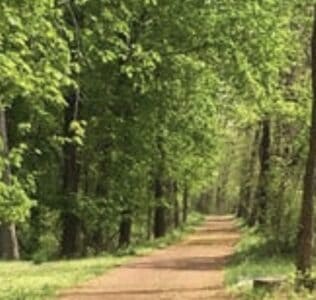 NJDOT: D&R Canal towpath will be closed at the Washington Road bridge next week