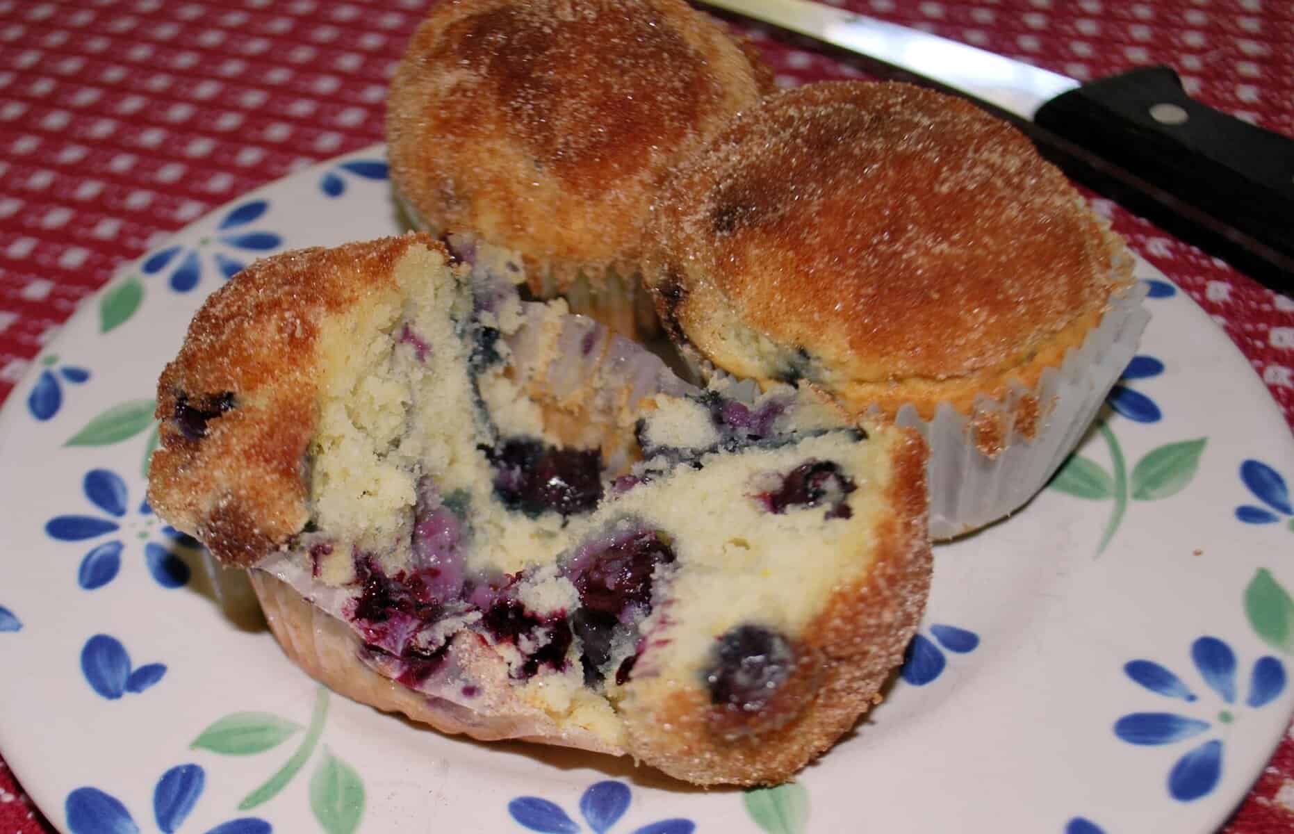 Princeton Food Scene: Tomato pie, hot dogs, blueberry time