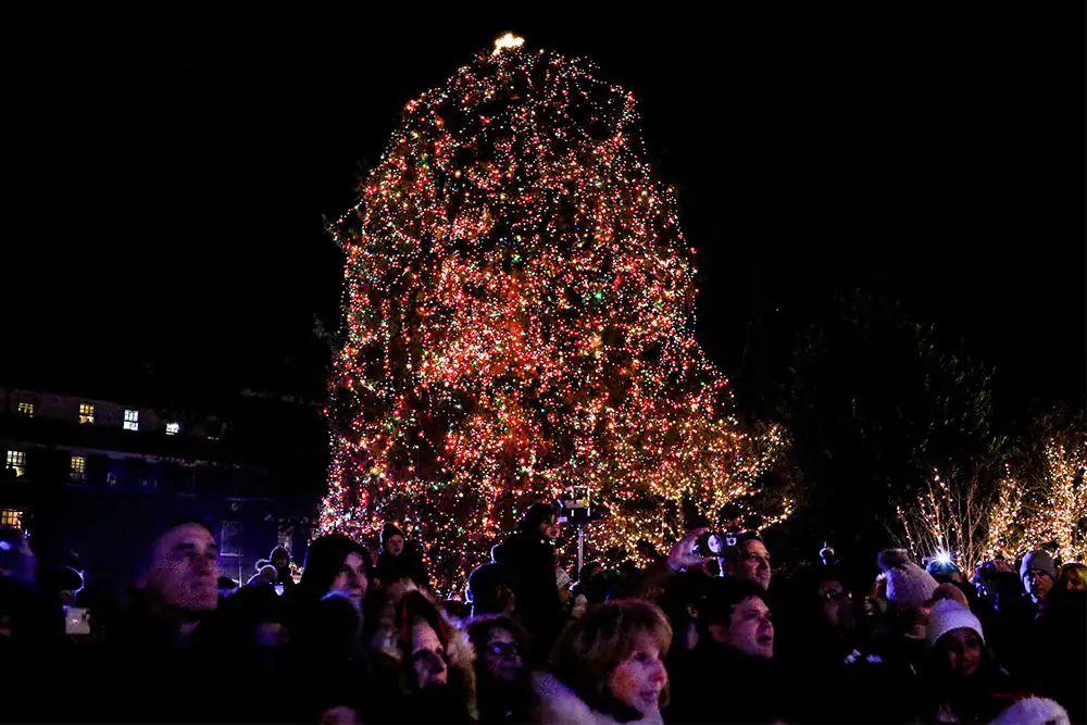 Palmer Square Annual Tree Lighting