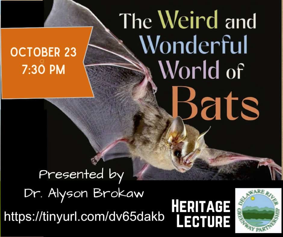 Ad Alyson Brokaw Bat Lecture October 23 2025