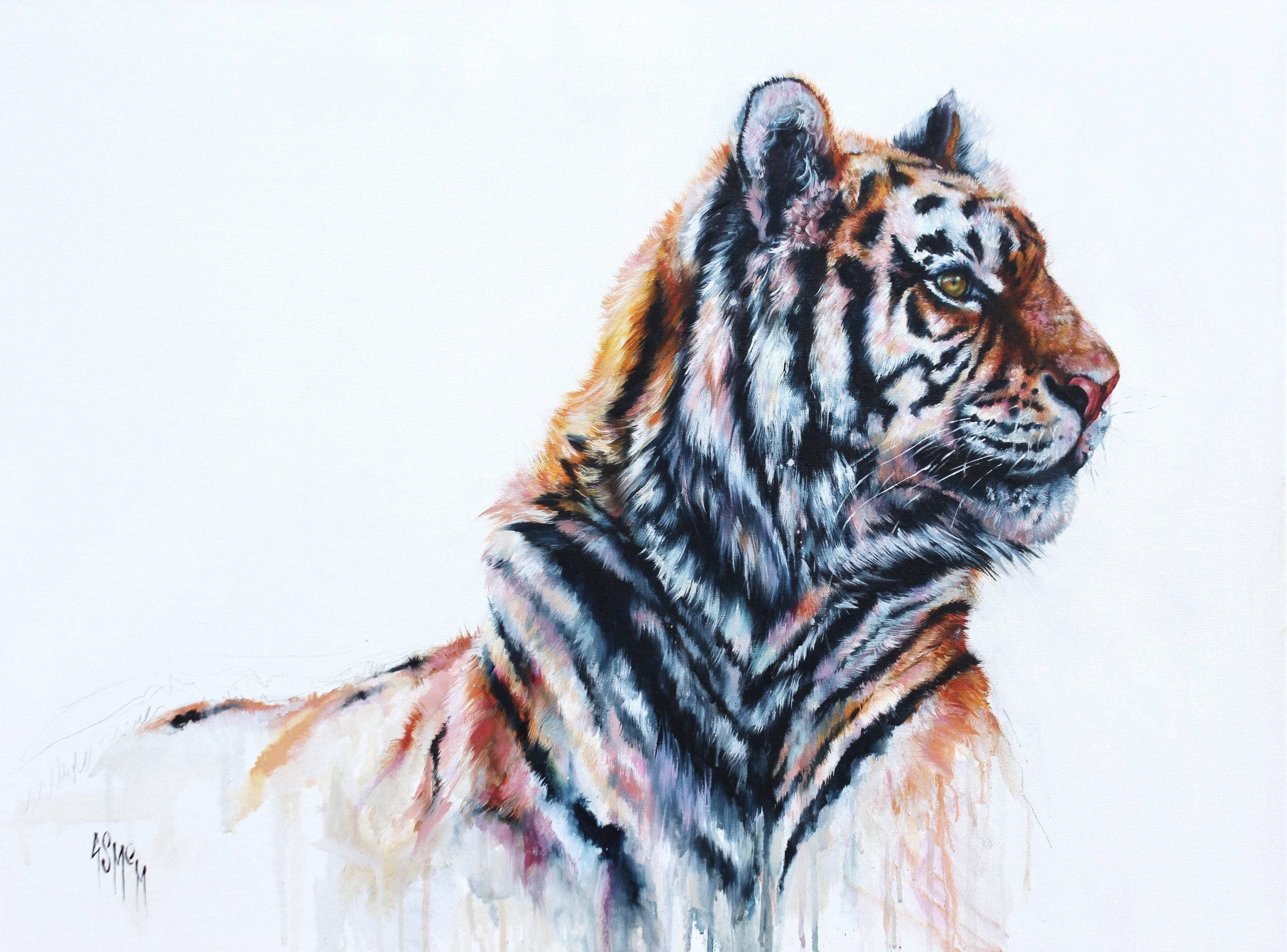 Art Exhibition: All Things Wild and Wonderful