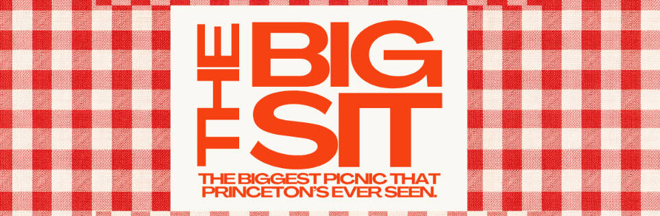THE BIG SIT: Not Your Average Picnic