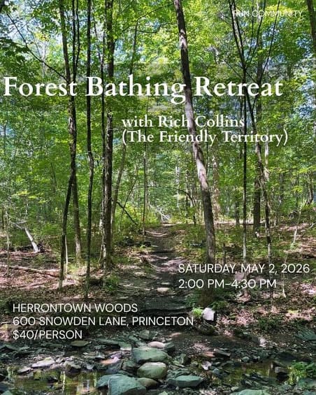 A Summer Solstice Forest Bathing Retreat