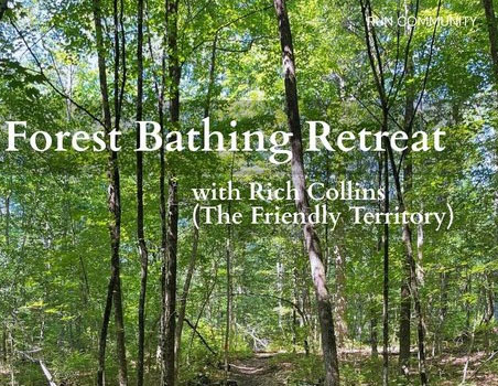 Forest Bathing Retreat