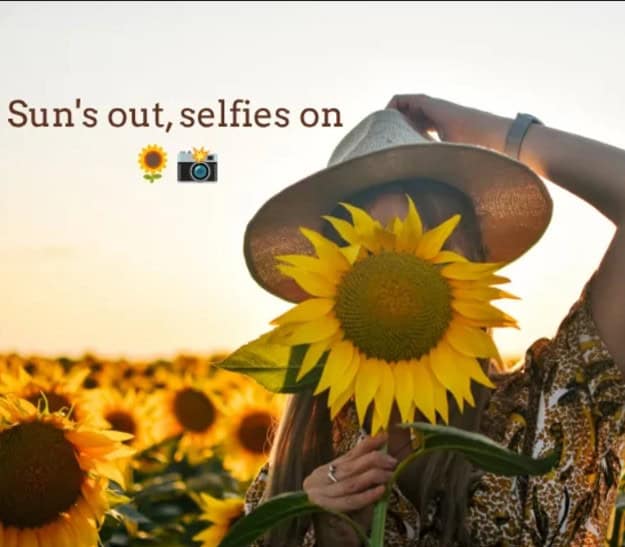 Suns out Selfies on at Marketfair 1 Screenshot 2026 07 13 132202